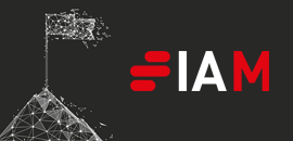 iam IAM Strategy 300